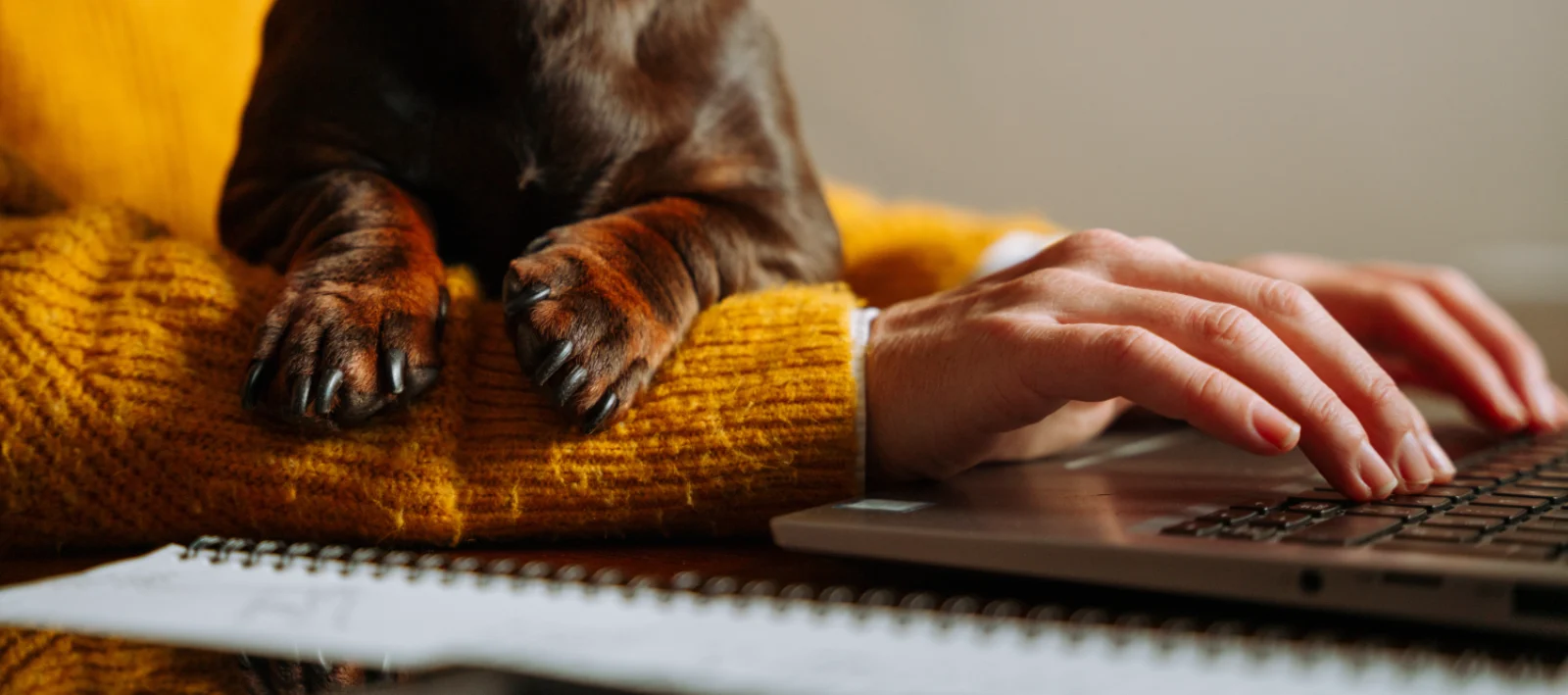 A dog resting its paws on its owner's lap while she works at a laptop