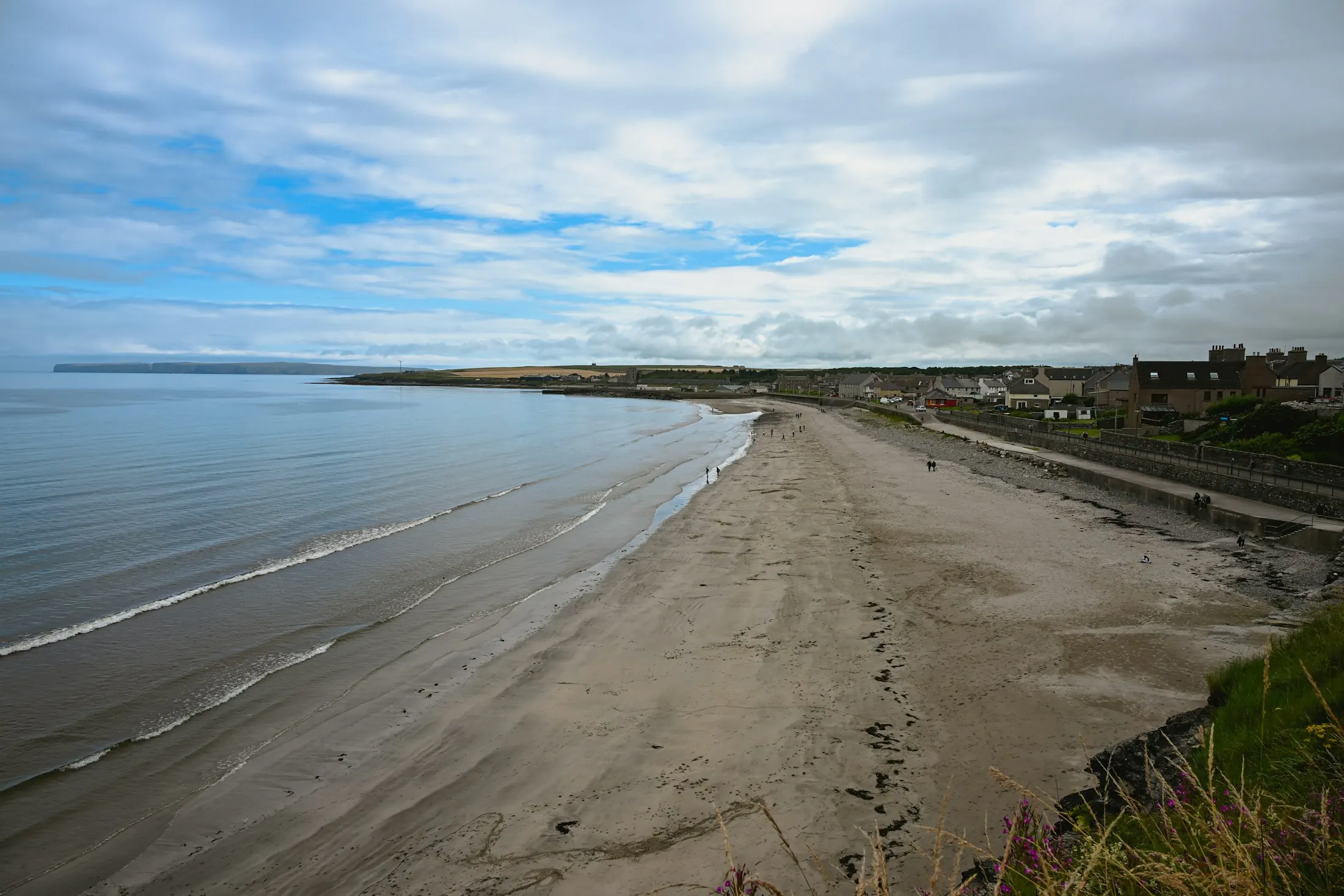 Dog friendly guide to Aberdeen