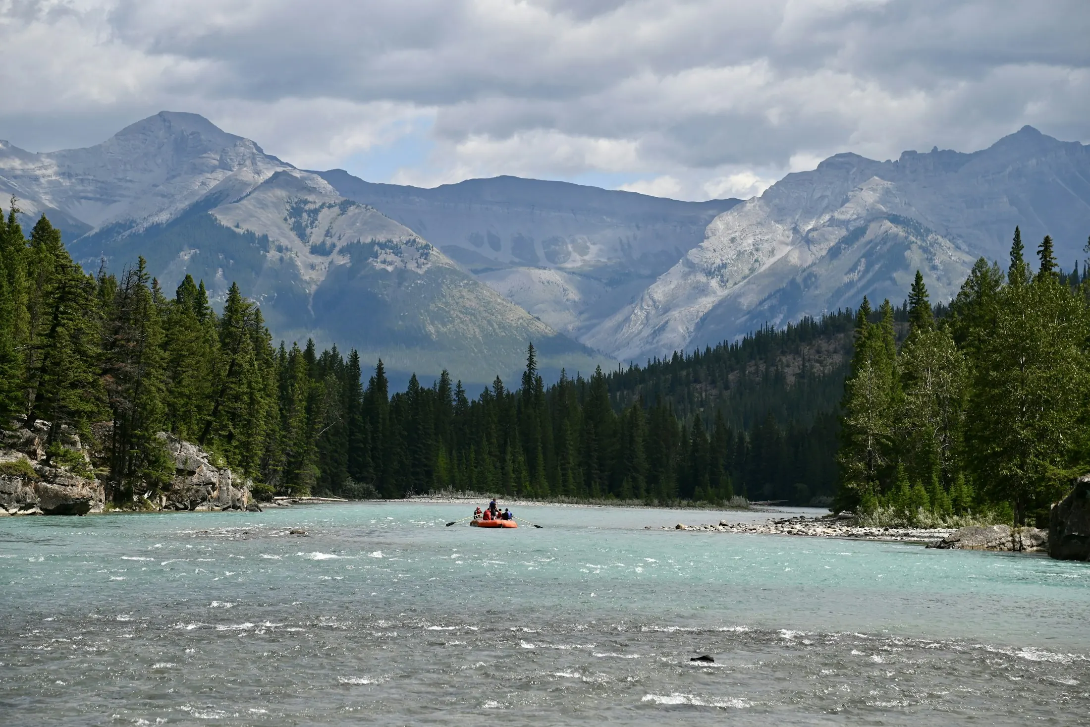 Dog friendly hotels in Banff