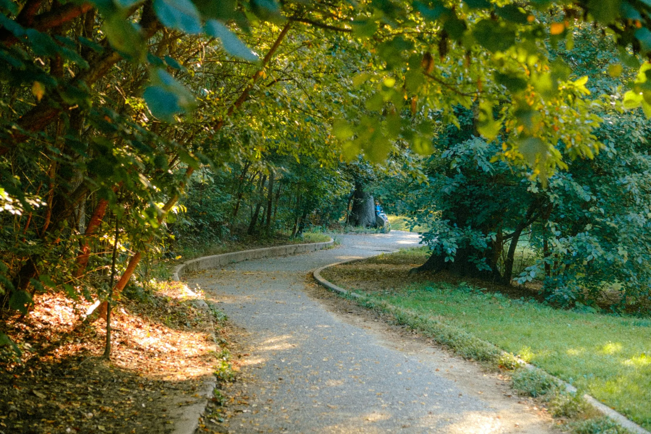 Dog friendly guide to Brooklyn
