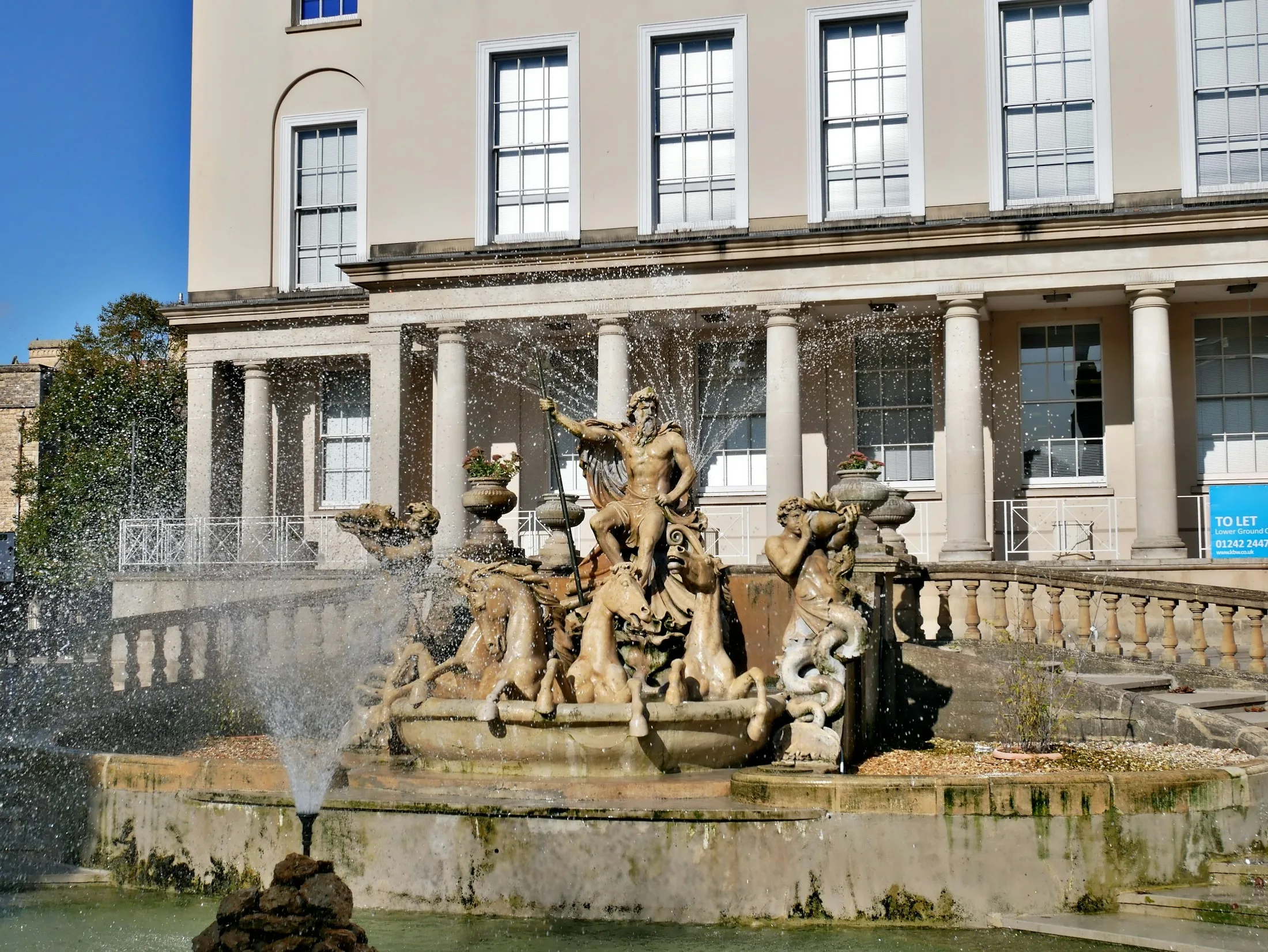 Dog friendly guide to Cheltenham