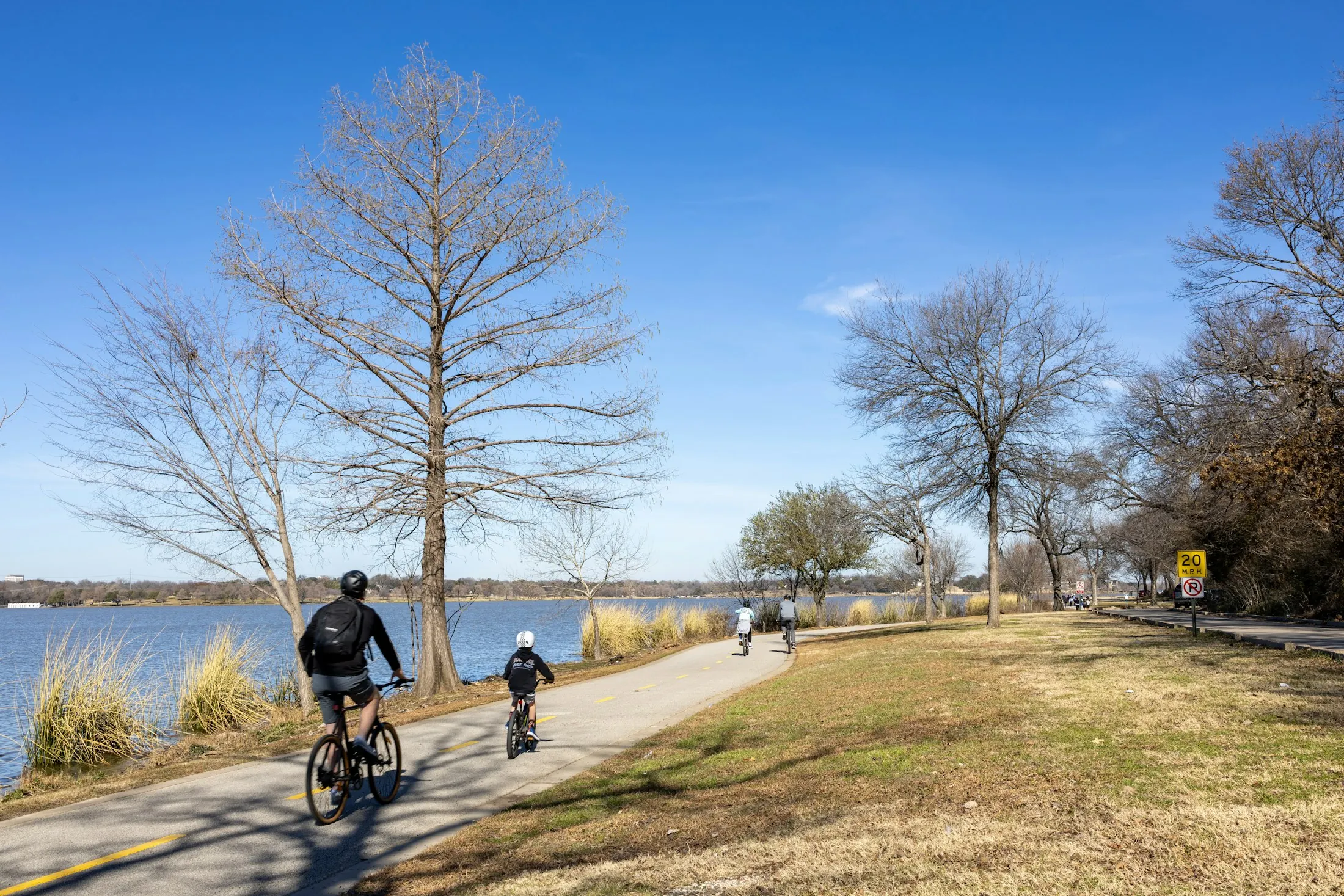 Dog friendly guide to Dallas