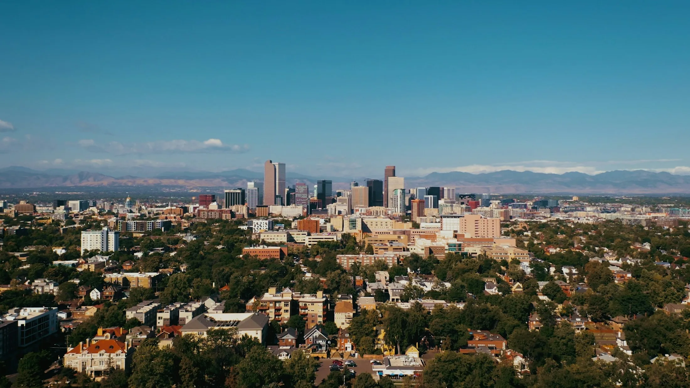 Dog friendly guide to Denver