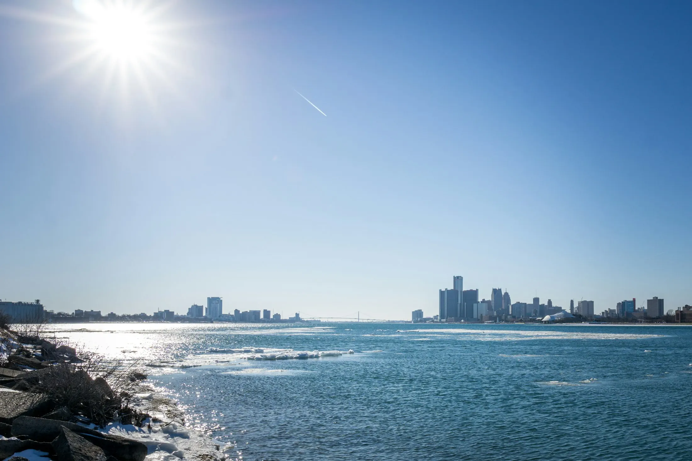 Dog friendly guide to Detroit