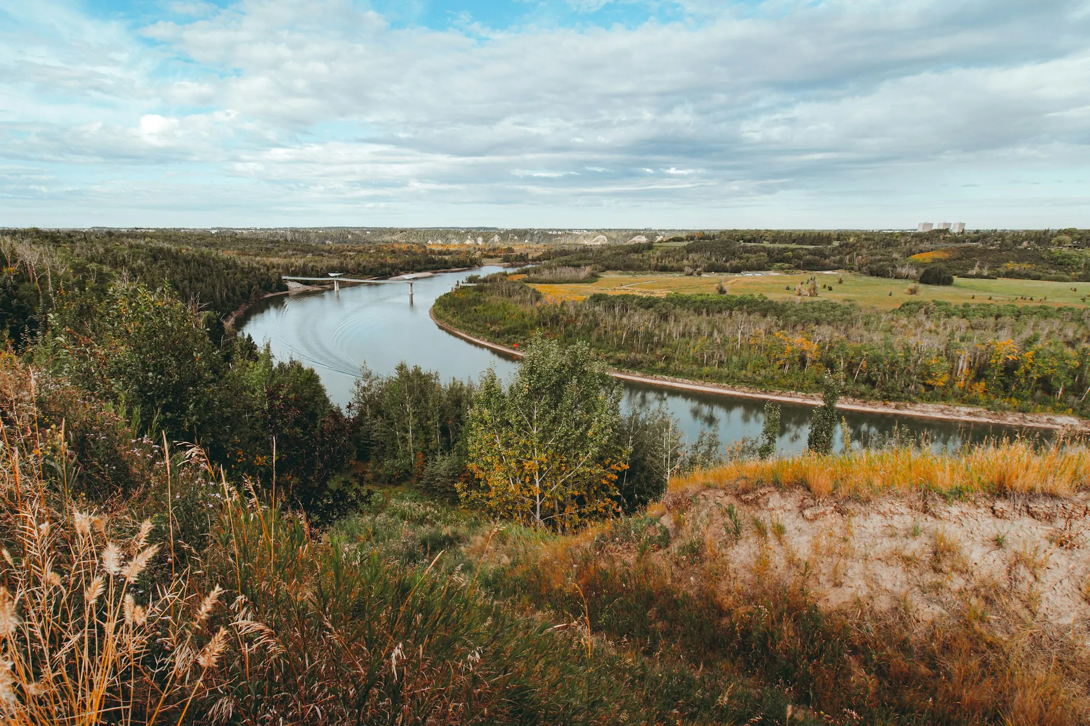 Dog friendly guide to Edmonton