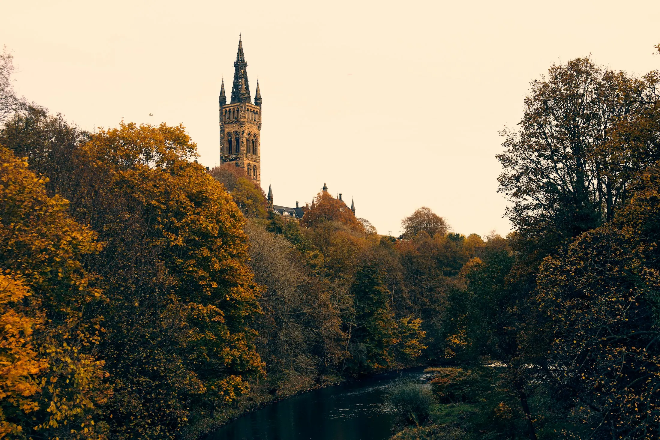 Dog friendly guide to Glasgow