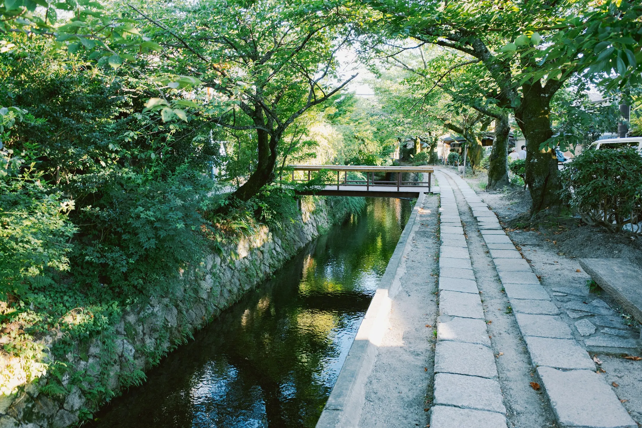 Dog friendly hotels in Kyoto