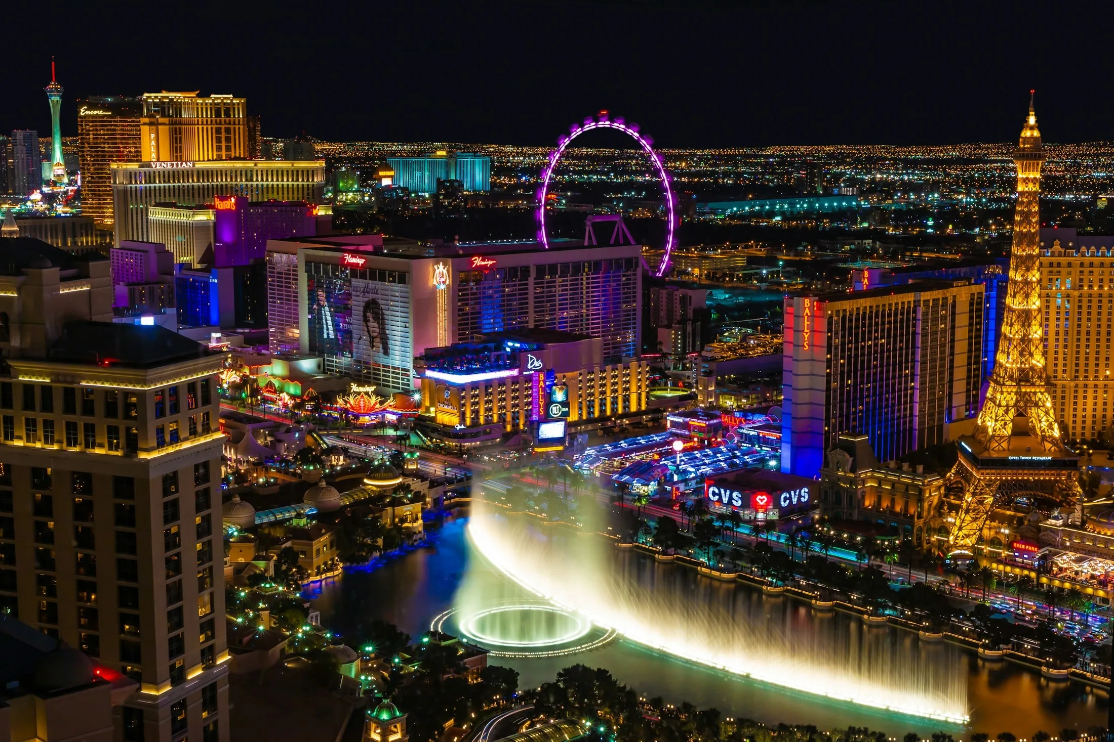 Dog friendly guide to Las Vegas