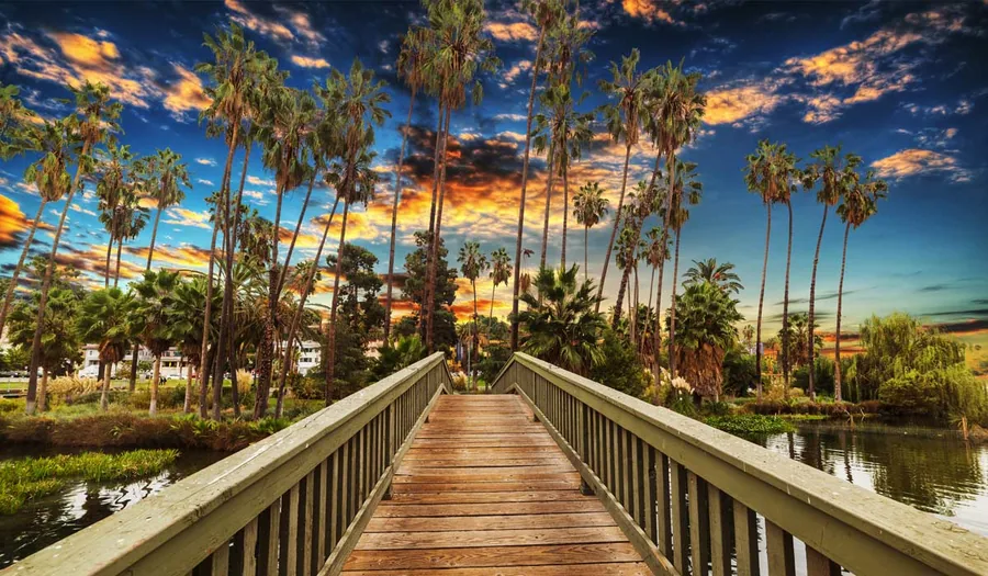 Dog friendly city guide to Los Angeles
