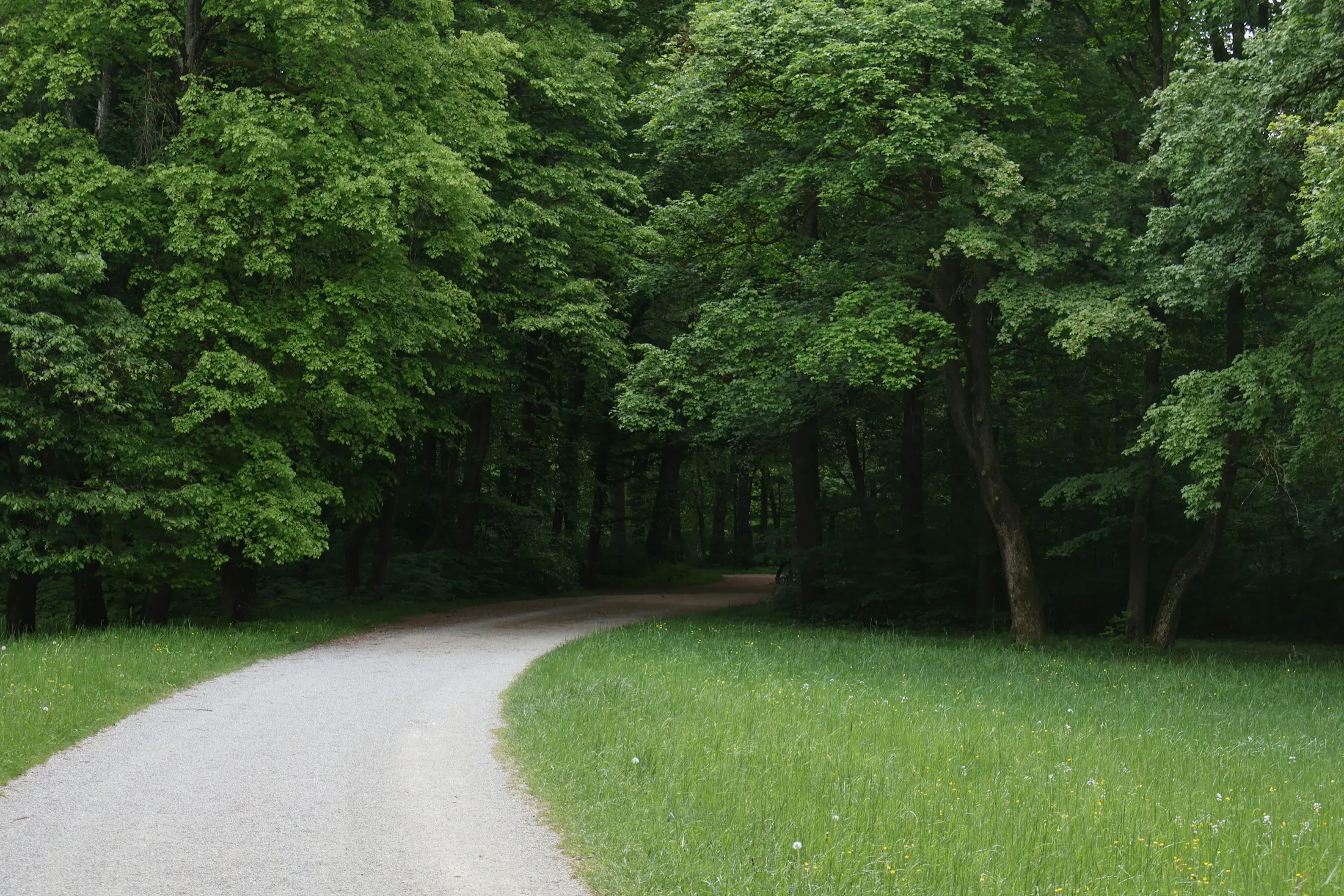 Dog friendly guide to Munich