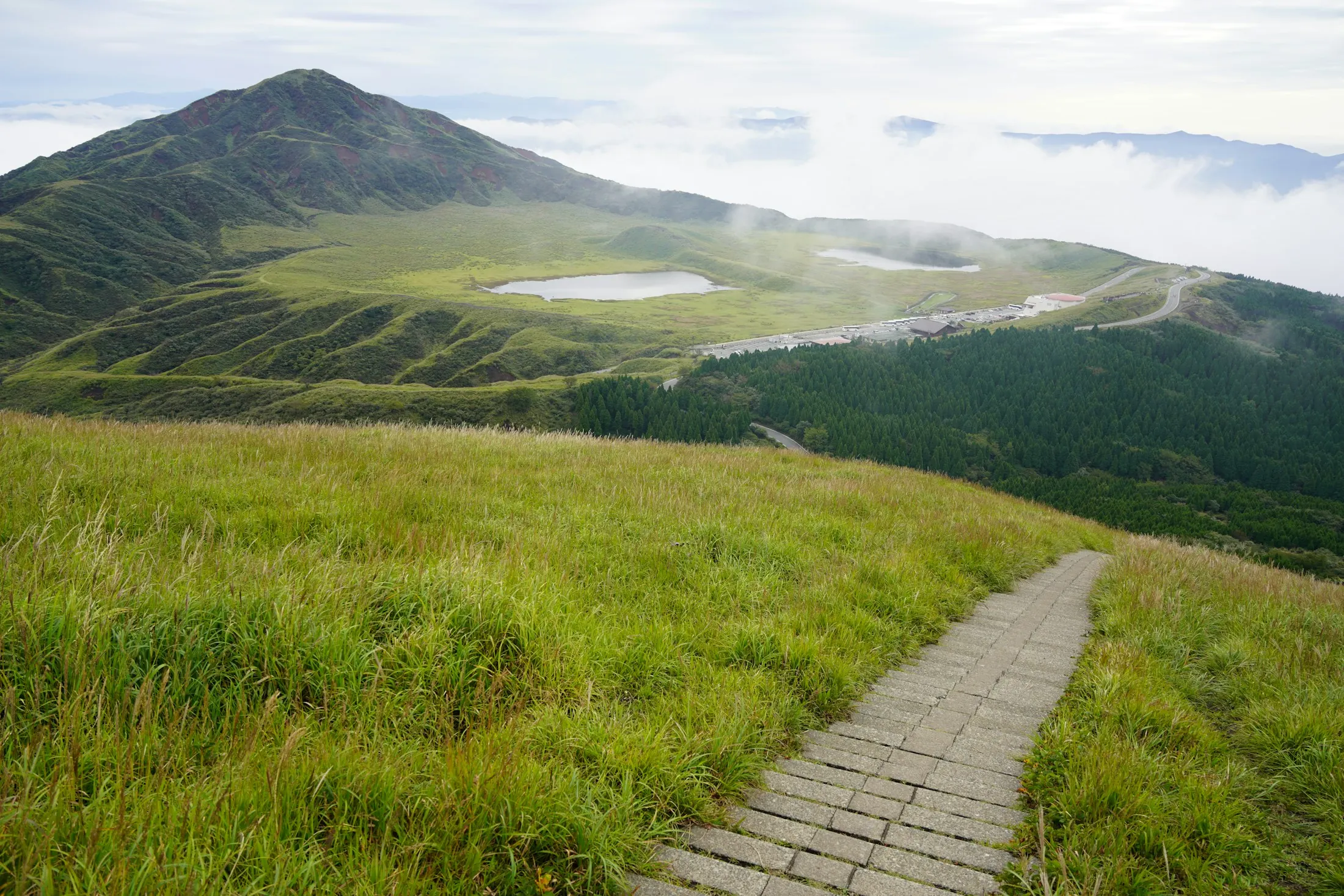 Dog friendly guide to Nasu