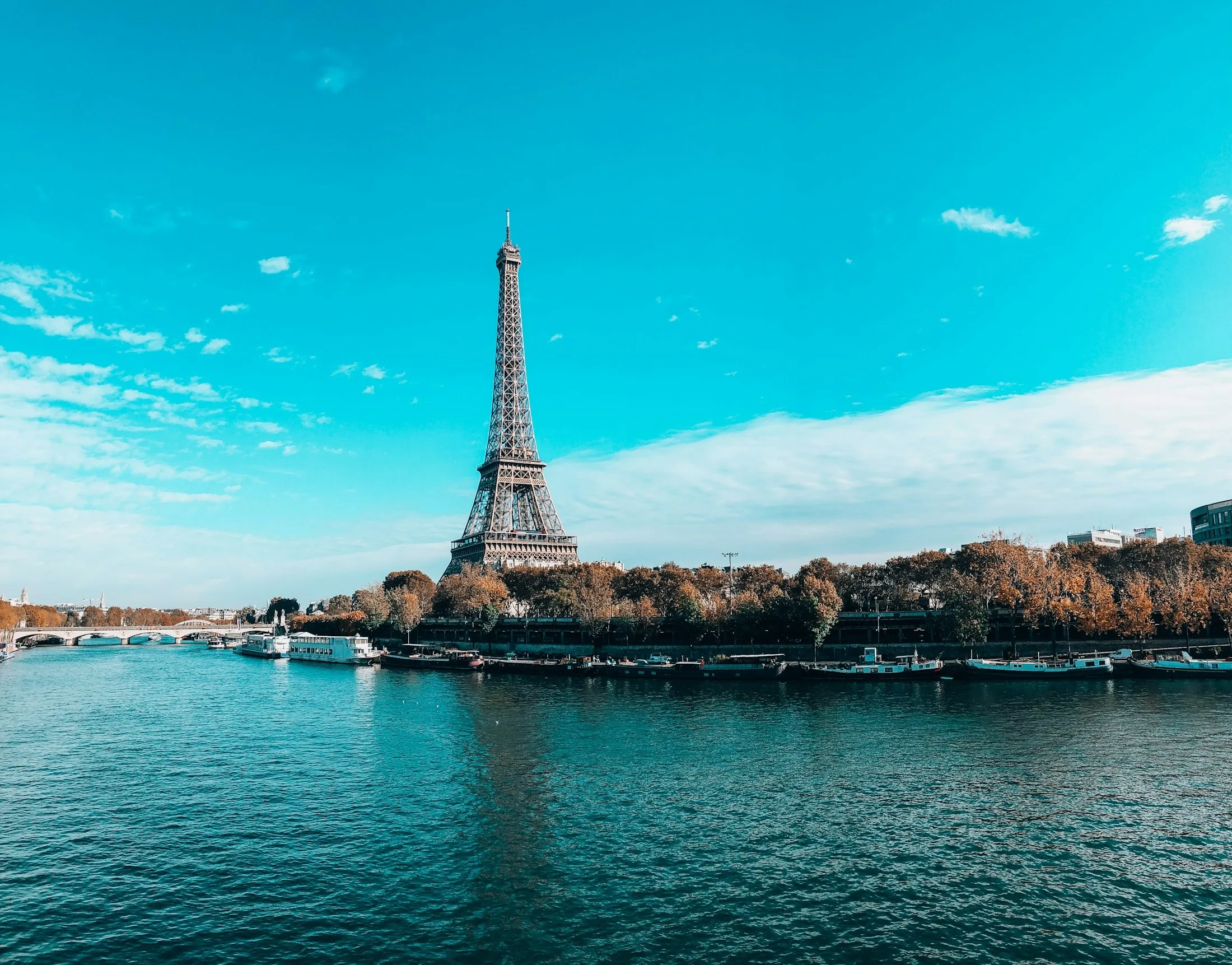 Dog friendly hotels in Paris