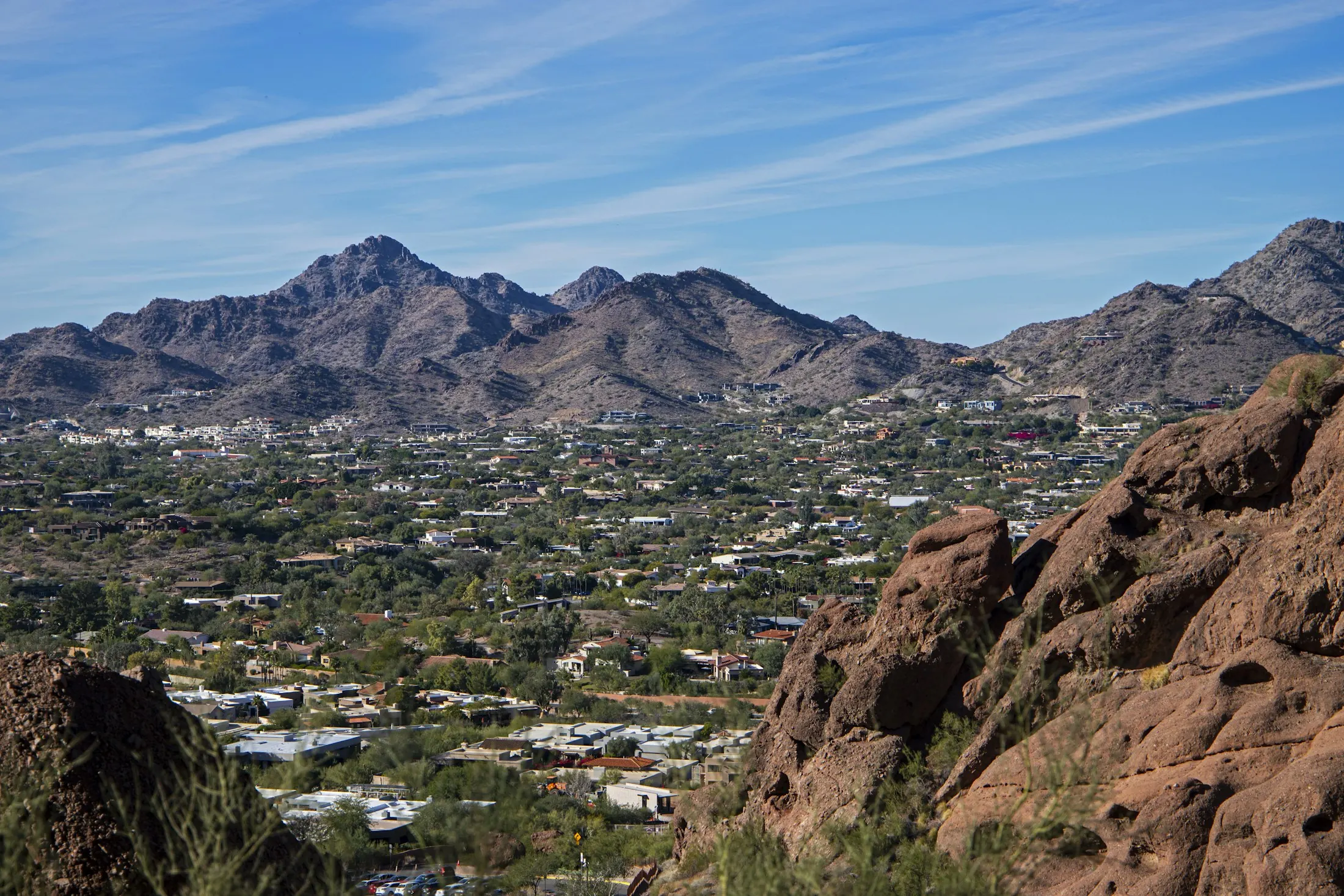 Dog friendly guide to Phoenix