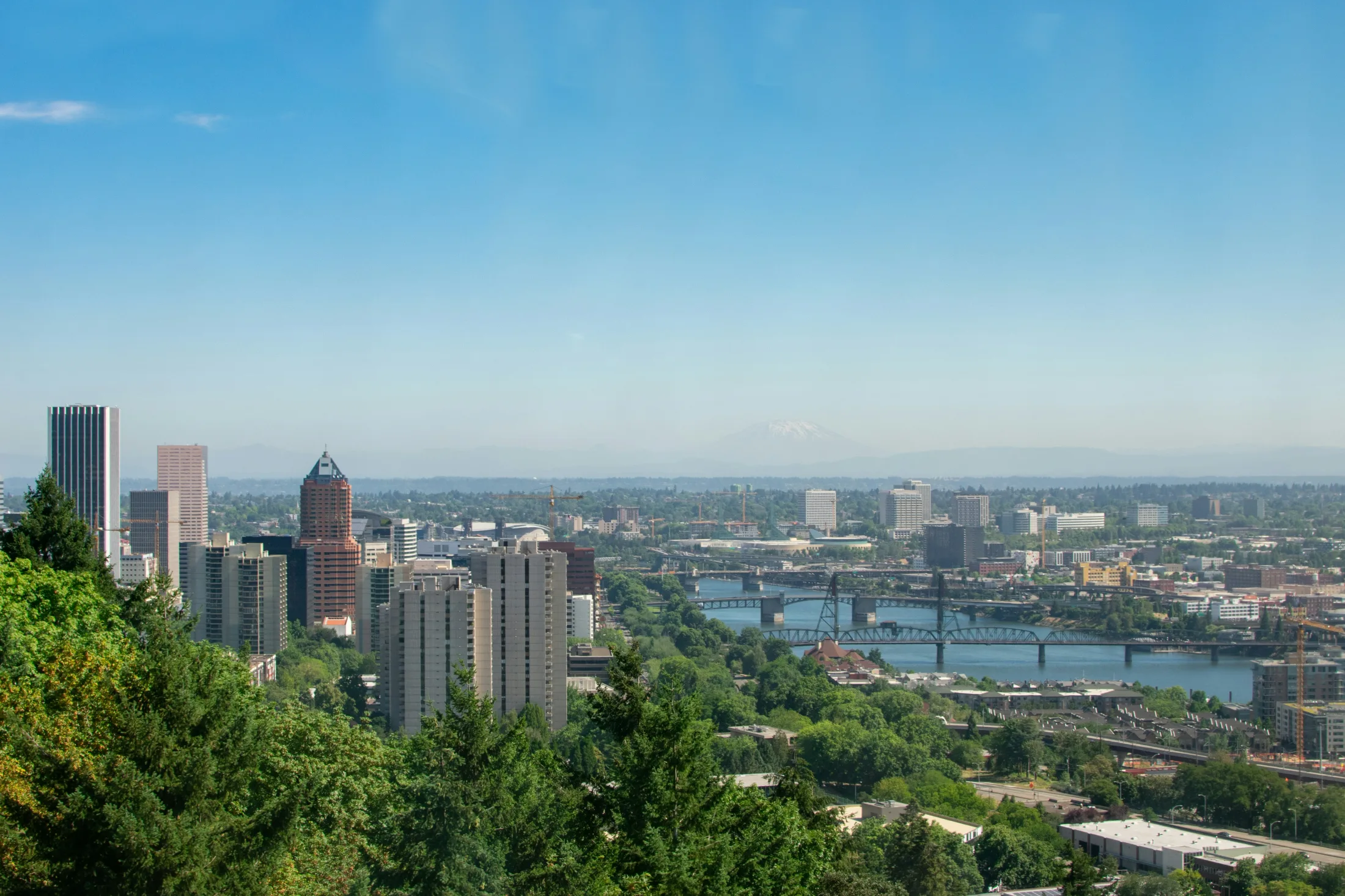 Dog friendly guide to Portland