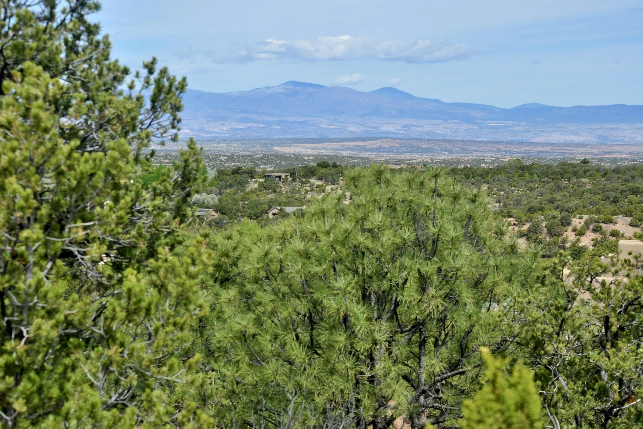 Dog friendly guide to Santa Fe