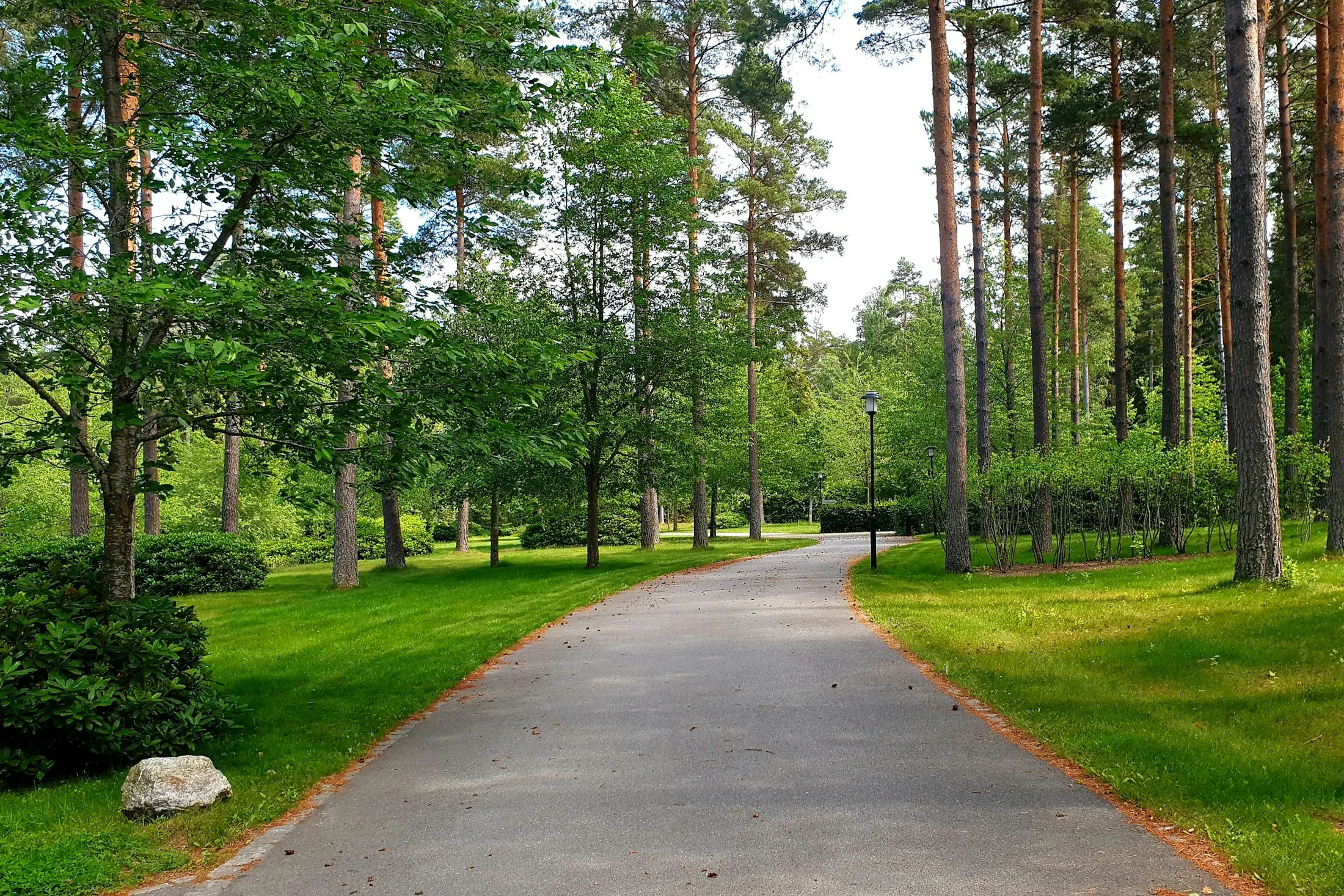 Dog friendly guide to Stockholm