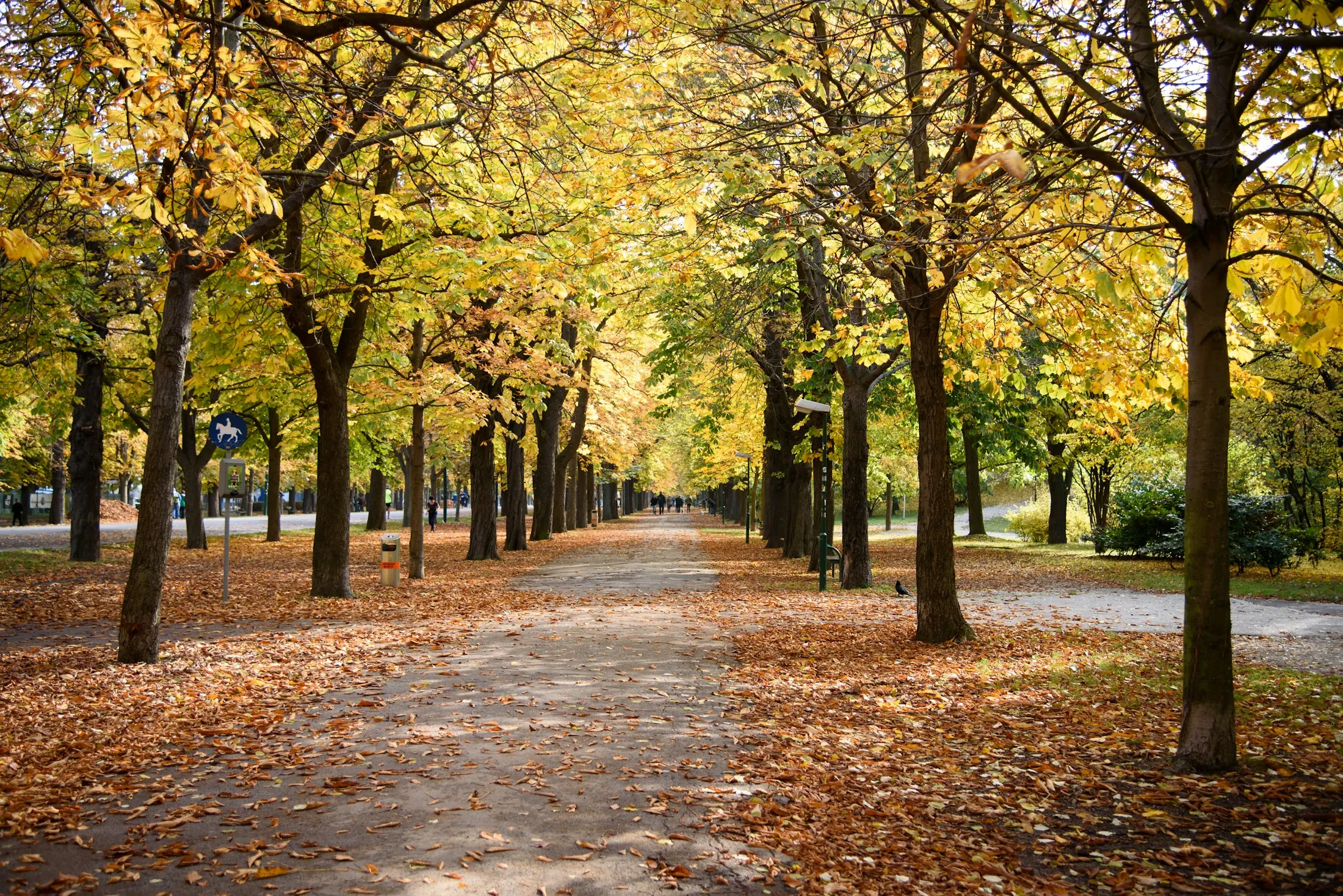 Dog friendly hotels in Vienna