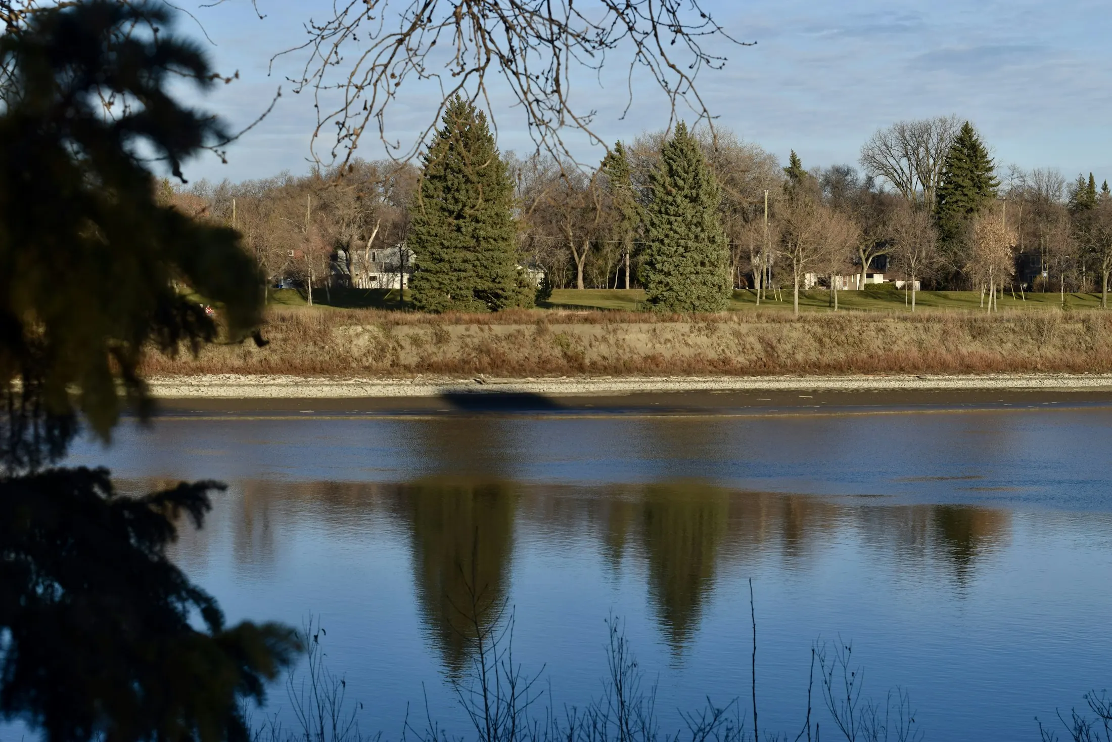 Dog friendly guide to Winnipeg